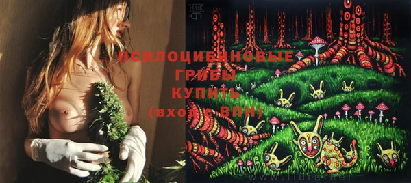 скорость Аркадак