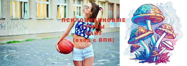 прущая мука Армянск
