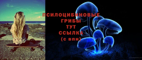 a pvp Арсеньев